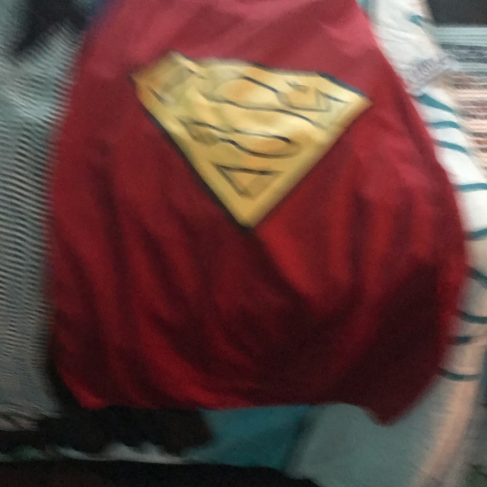 Doggie Superman Halloween Costume.